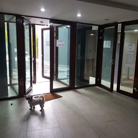 Apartment 포이아나브라소프 외부 사진