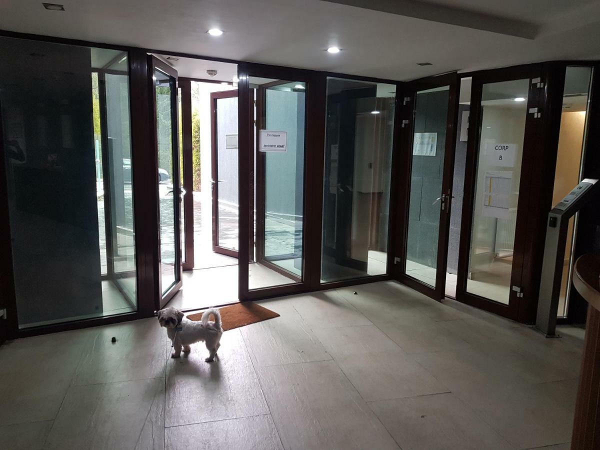 Apartment 포이아나브라소프 외부 사진